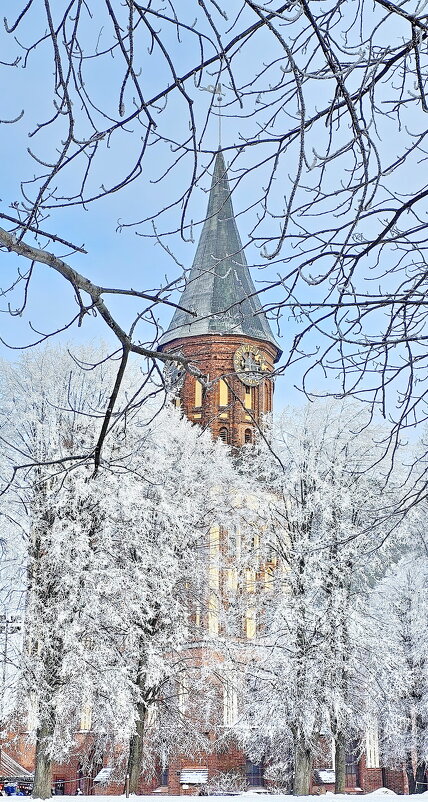 Калининград. Кафедральный собор. - Михаил Свиденцов Калининград. Кафедральный собор. - Михаил Свиденцов