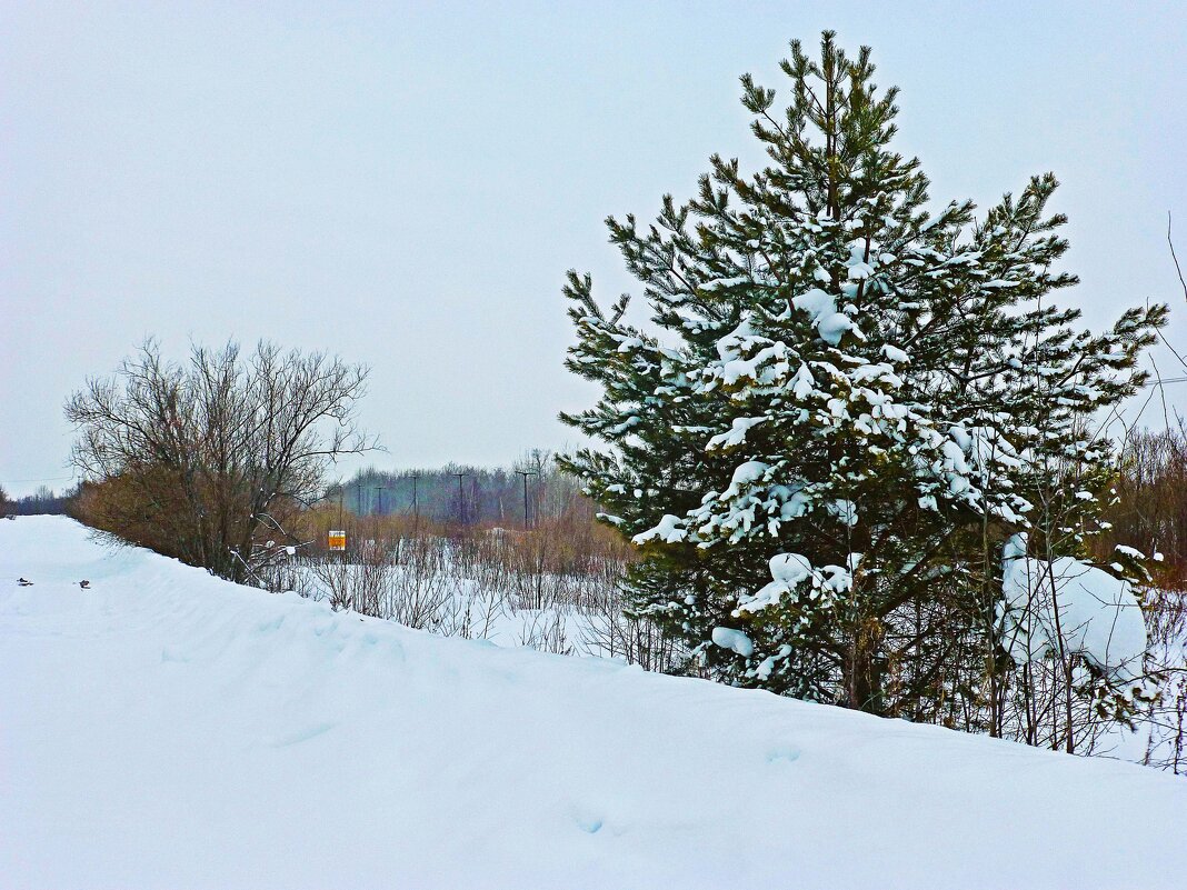 Нефтяная дорога по левому берегу Юганской Оби! - Владимир Нефтяная дорога по левому берегу Юганской Оби! - Владимир