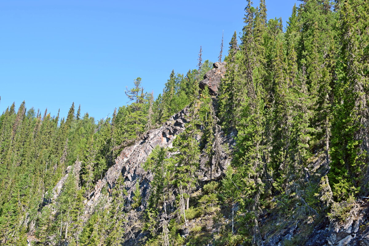 Спящий богатырь. - ВикТор Быстров Спящий богатырь. - ВикТор Быстров