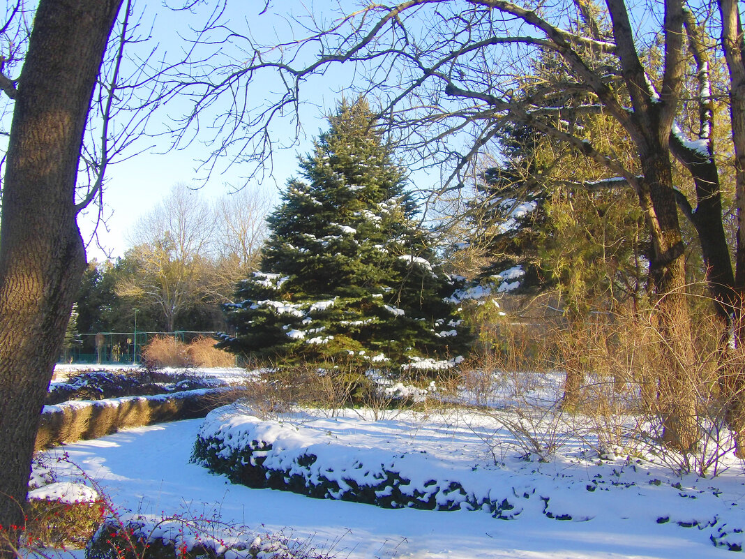 Зимний пейзаж - Валентин Семчишин Зимний пейзаж - Валентин Семчишин