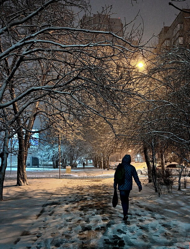 А вечером повалило... - Николай Саржанов А вечером повалило... - Николай Саржанов