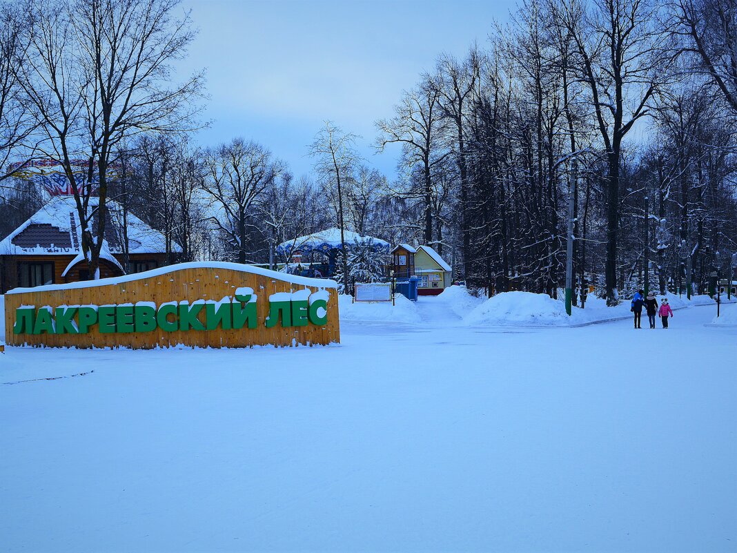 Чебоксары. На входе в Лакреевский лес январским днём. - Пётр Чернега Чебоксары. На входе в Лакреевский лес январским днём. - Пётр Чернега