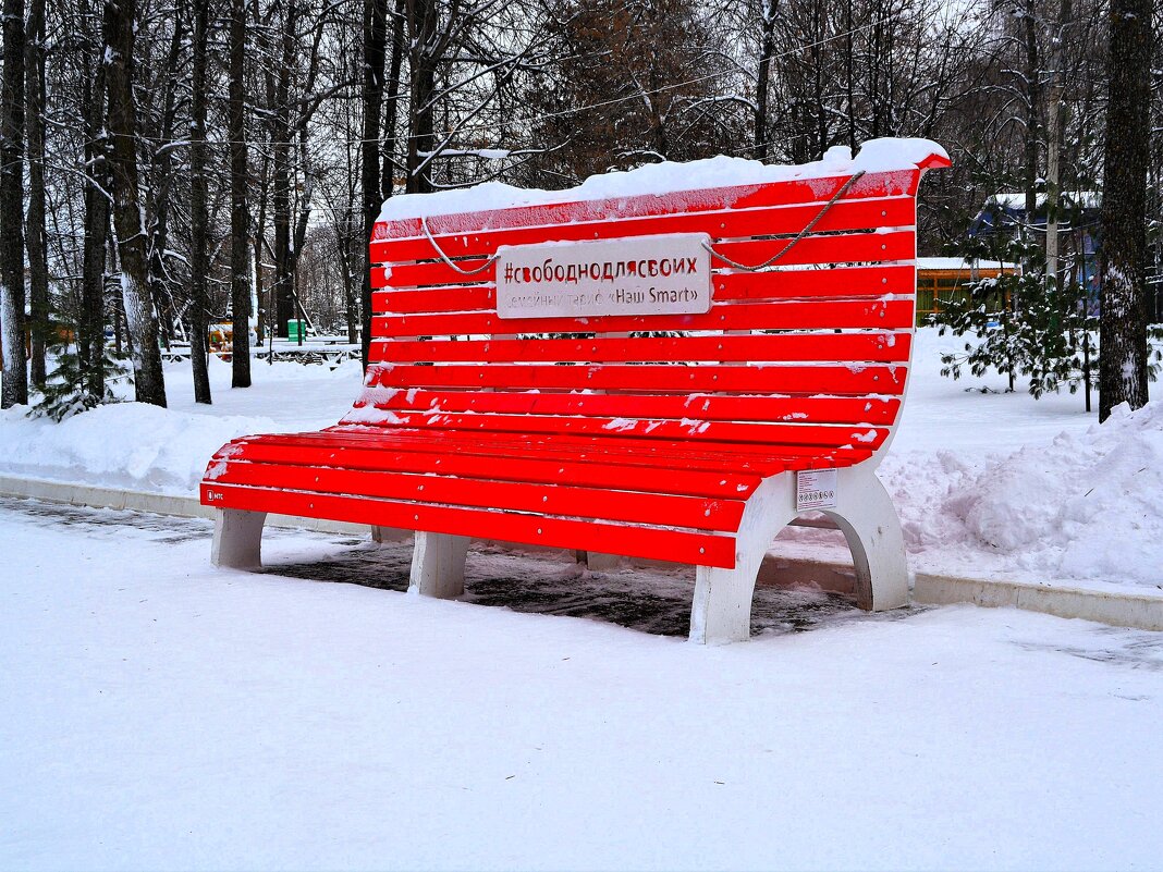 Чебоксары. Царь-скамья в Лакреевском лесу. - Пётр Чернега Чебоксары. Царь-скамья в Лакреевском лесу. - Пётр Чернега