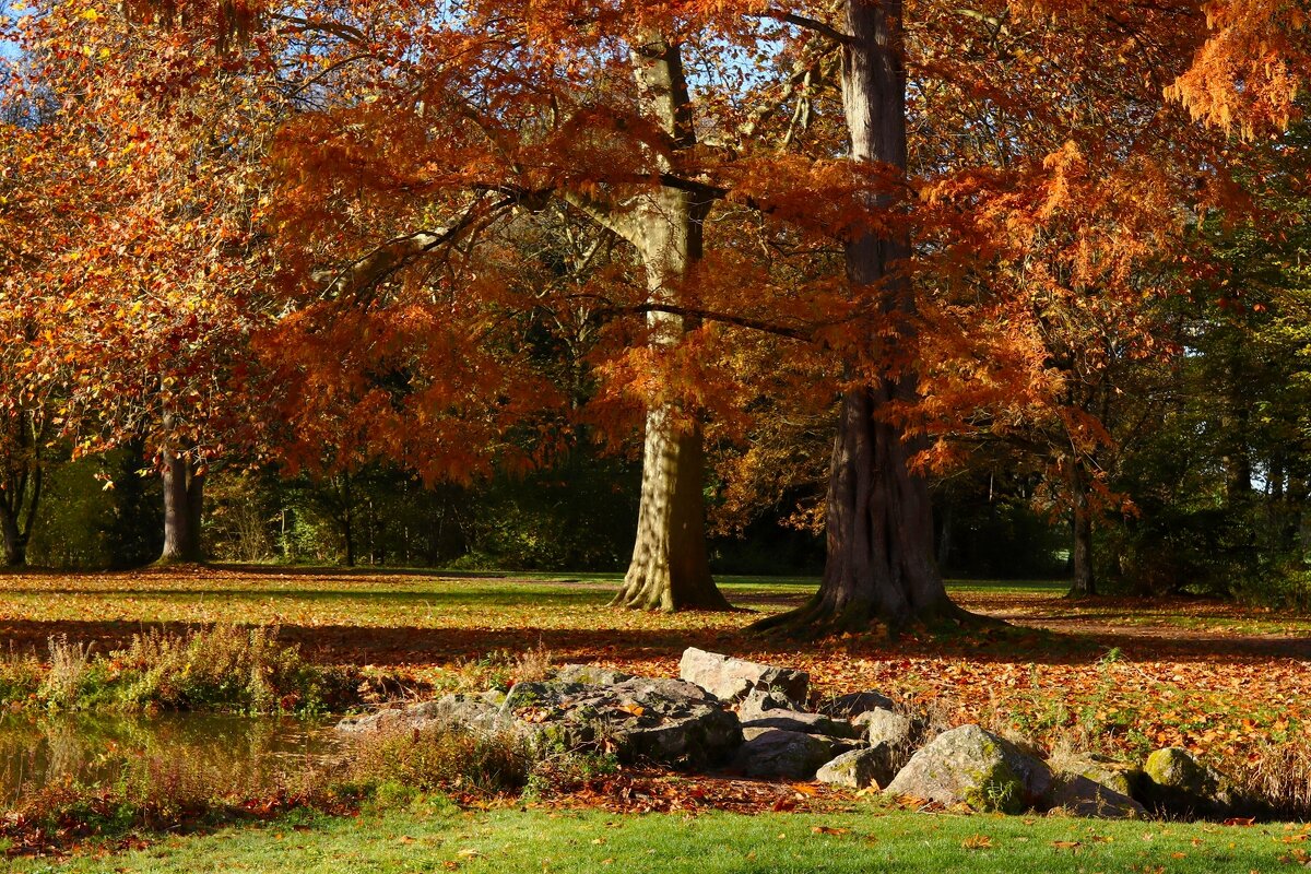 Рыжая осень - Юрий. Шмаков Рыжая осень - Юрий. Шмаков