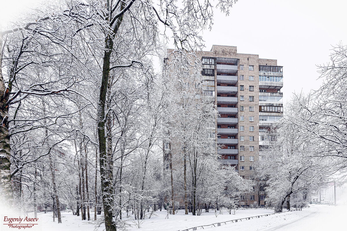 Зимнее кружево - Евгений 