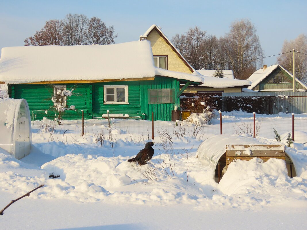 А у нас во дворе...есть мальчишка один! - Ольга Митрофанова