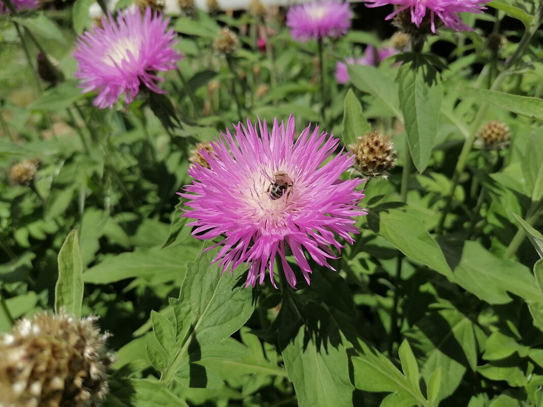 ,,, - Сергей Тимоновский ,,, - Сергей Тимоновский
