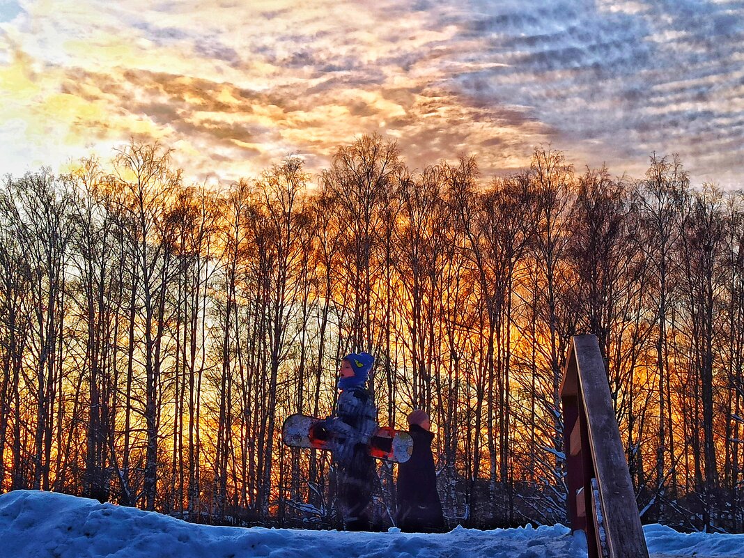 Из прогулки в зимний солнечный день - svk * Из прогулки в зимний солнечный день - svk *