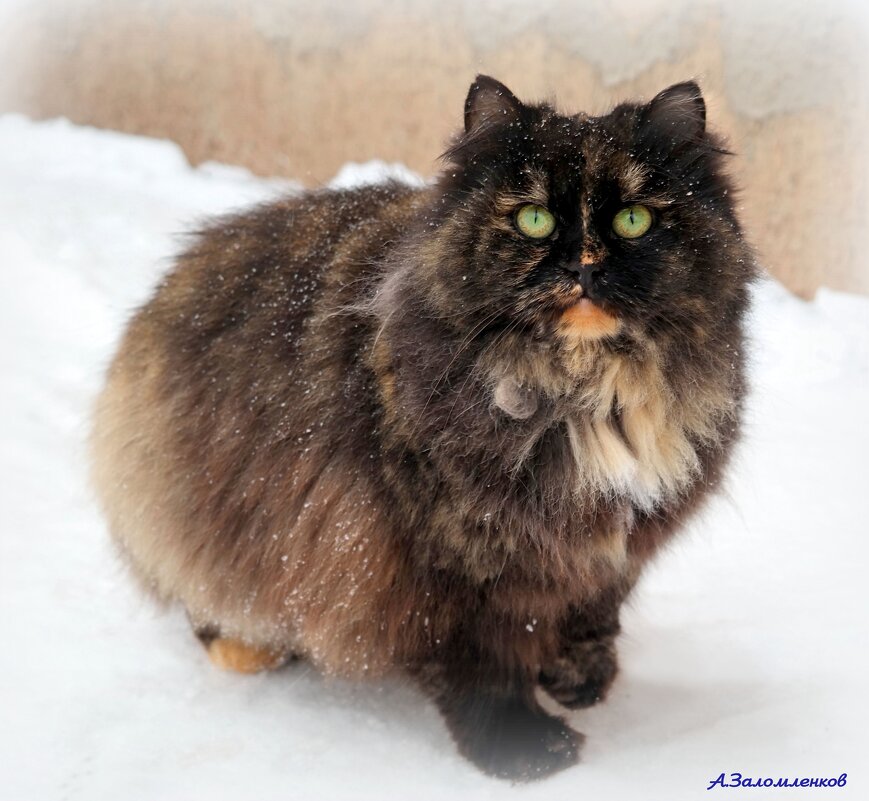 Ну и когда же март наступит? :-) - Андрей Заломленков