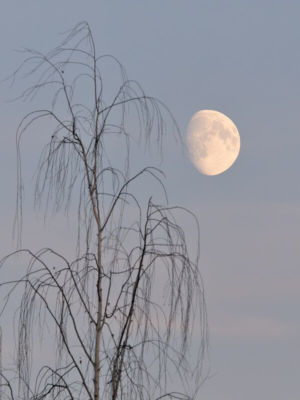 Луна - Леонид Никитин Луна - Леонид Никитин