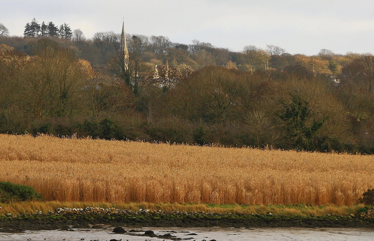 По берегу реки. - В.И 
