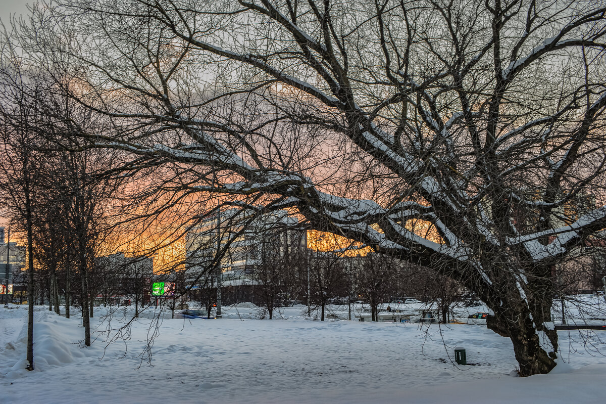 Догорает зимний день. - Николай Догорает зимний день. - Николай