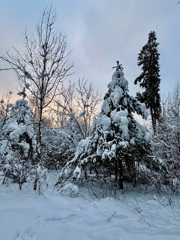 Заснеженность) - Любовь Заснеженность) - Любовь
