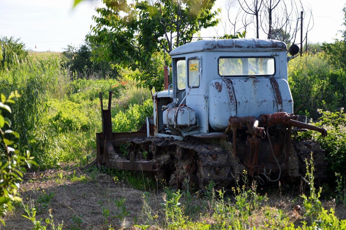 Старичок.. - Надежда Куркина Старичок.. - Надежда Куркина