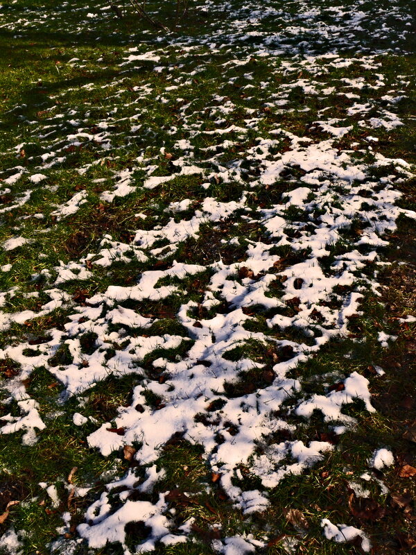 Южная зима - 8 - Алексей Кузнецов