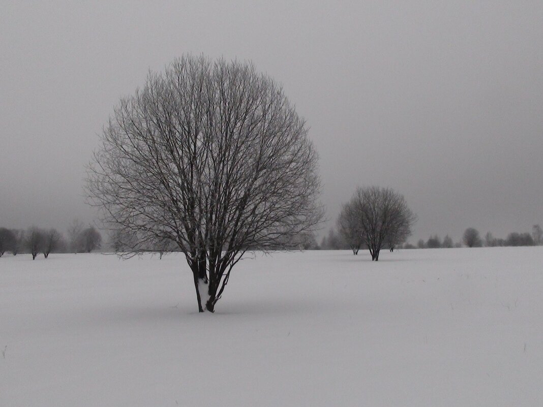 без названия - fogmeadowww m