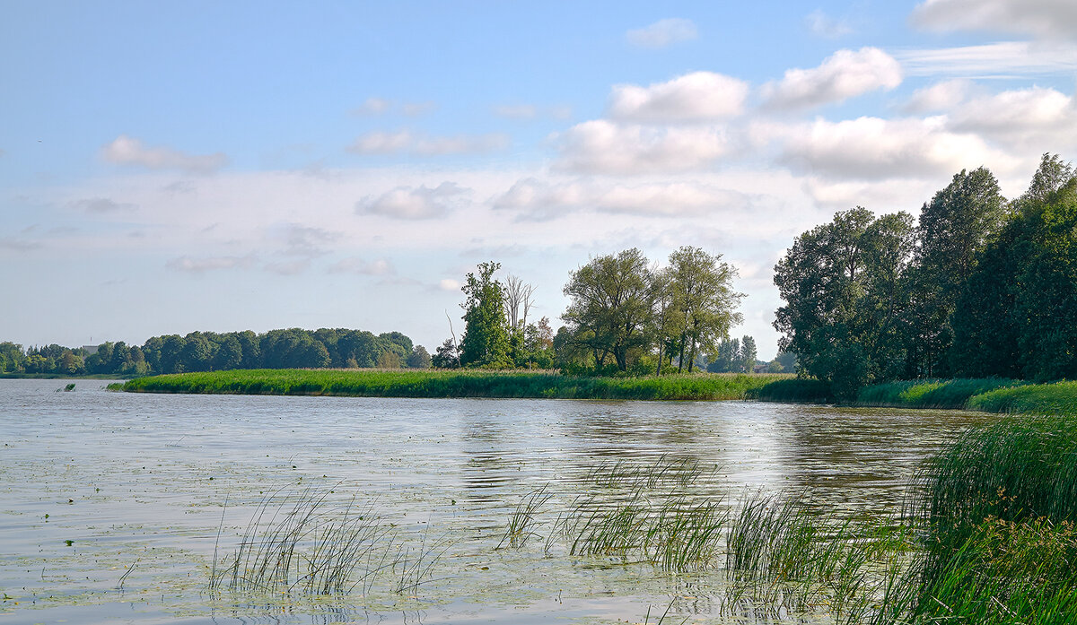 Лето, лето - Genych Bartkus