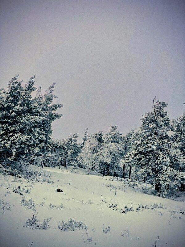 Зимний день в горах - Георгиевич 