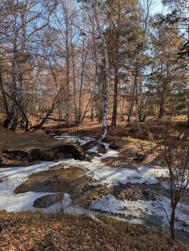 Осень - Андрей Хлопонин Осень - Андрей Хлопонин