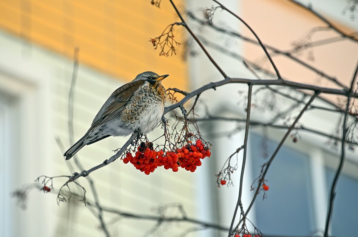 Похолодало - Валерий Иванович