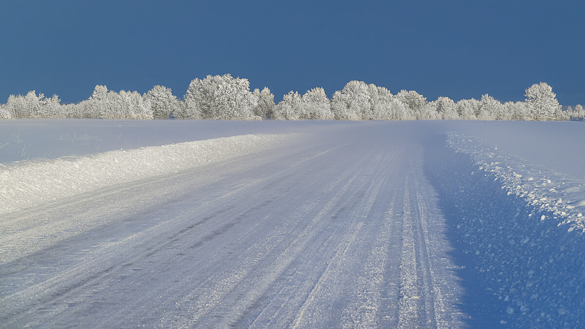 ... - Жора Житников ... - Жора Житников