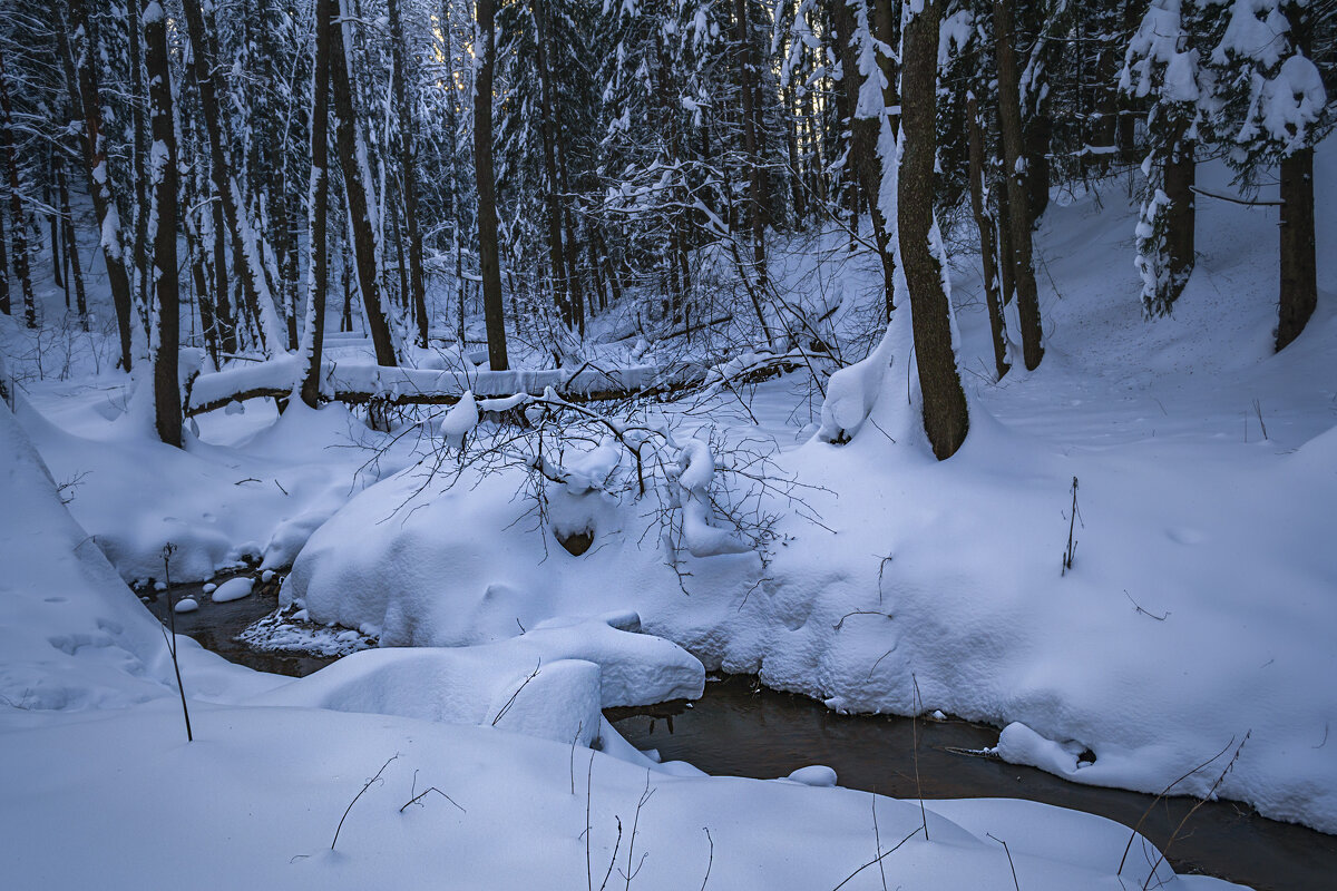 Лесной ручей - Сергей Цветков