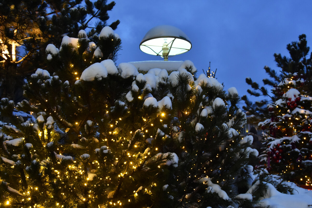 Новогодняя Москва. Путешествие в Рождество 2026. - Наташа ***** Новогодняя Москва. Путешествие в Рождество 2026. - Наташа *****