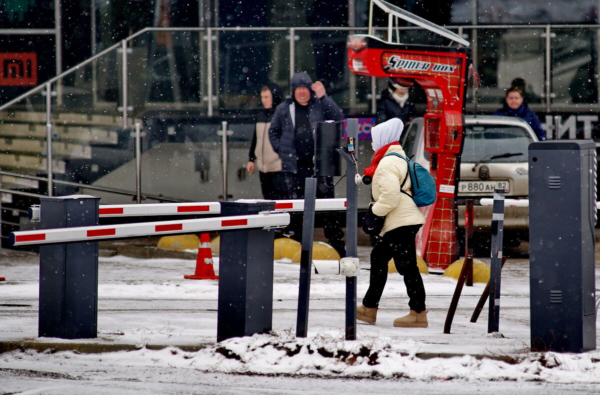 Закрытая территория... - Николай Саржанов Закрытая территория... - Николай Саржанов