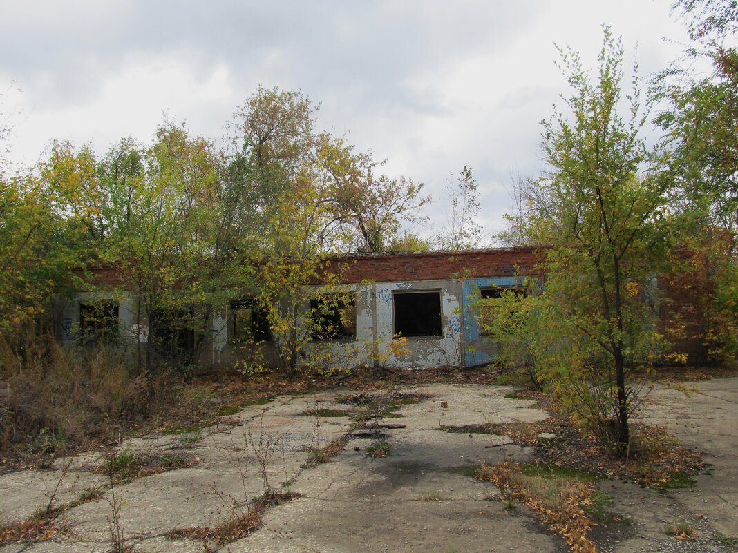 заброшка - Елена Шаламова