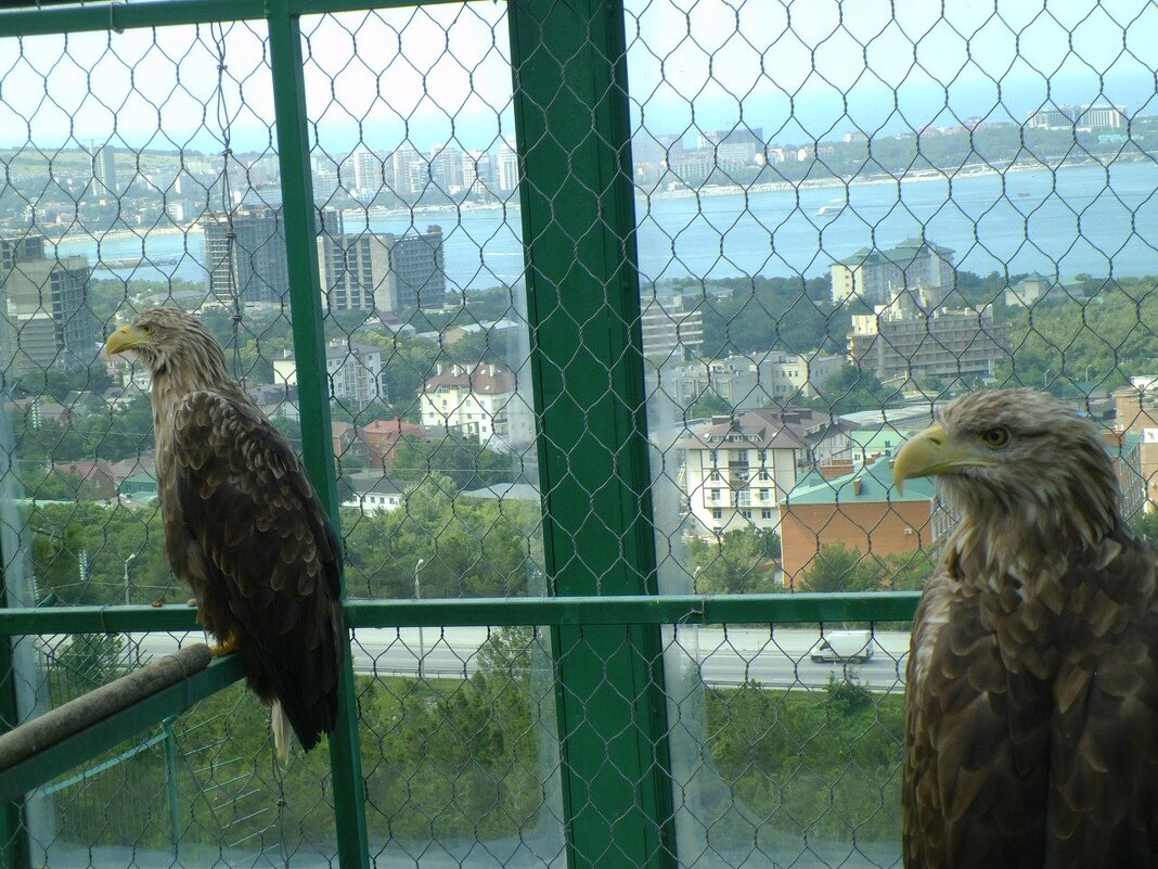 Геленджик 2014 год. - Serega SchütZ