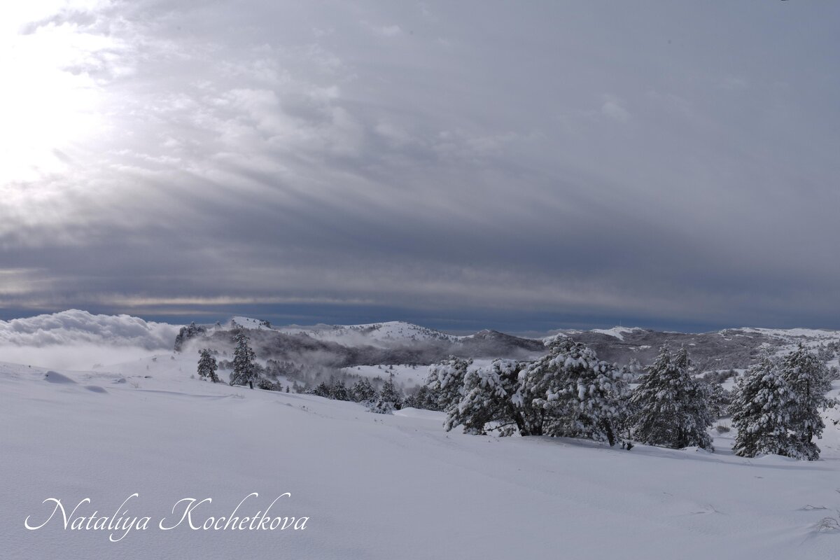 Природа Крыма - Amazing Cosmea Природа Крыма - Amazing Cosmea