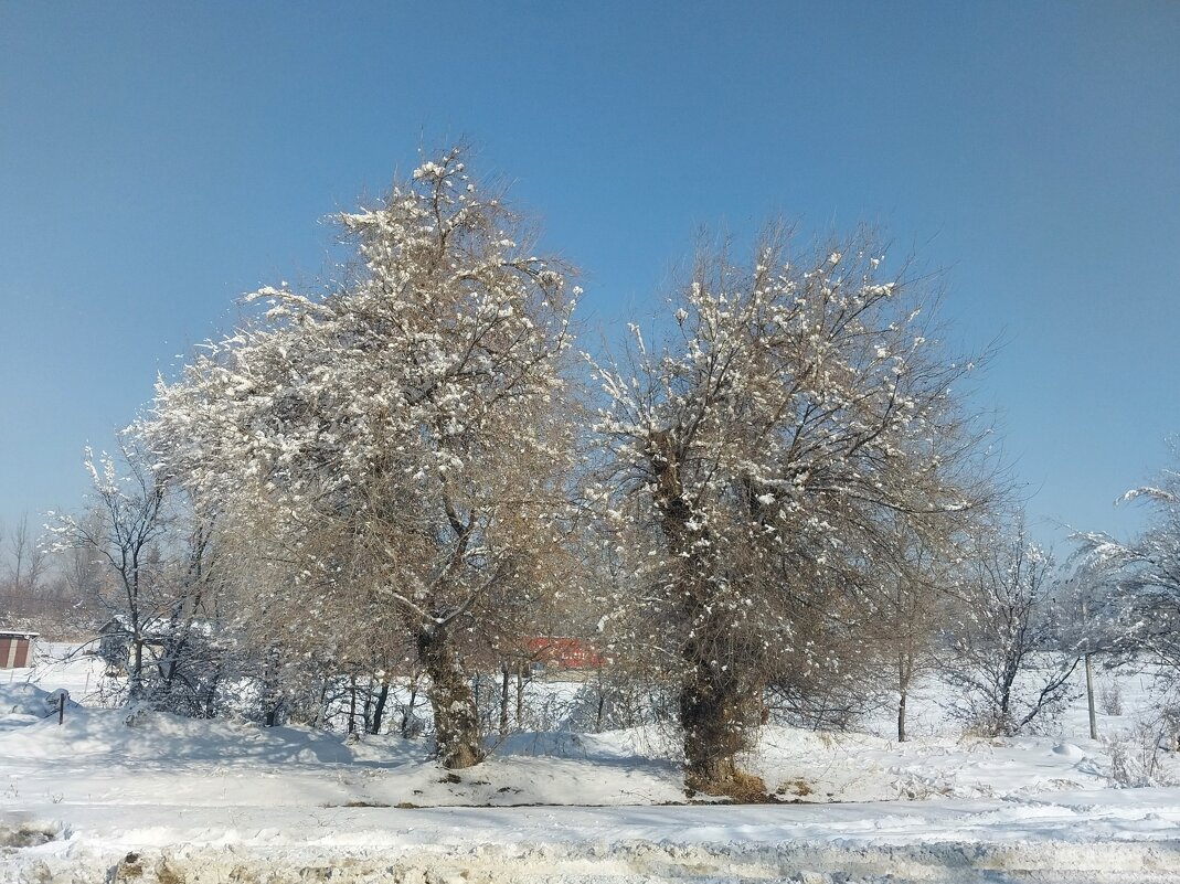 Talgar. - Murat Bukaev 