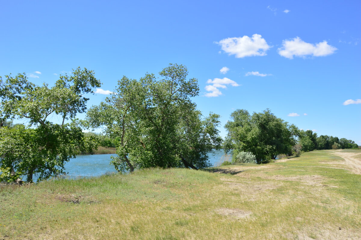 Местная река. - Виктор 