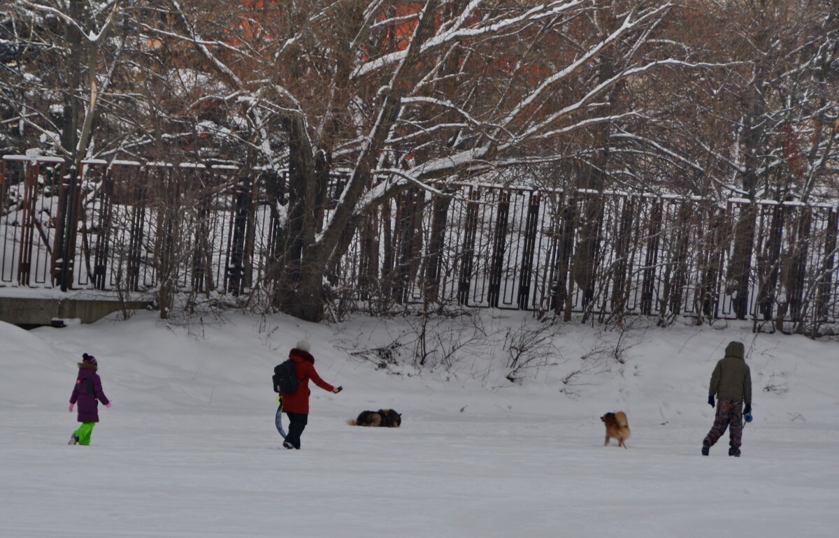 ... - Анастасия Смирнова