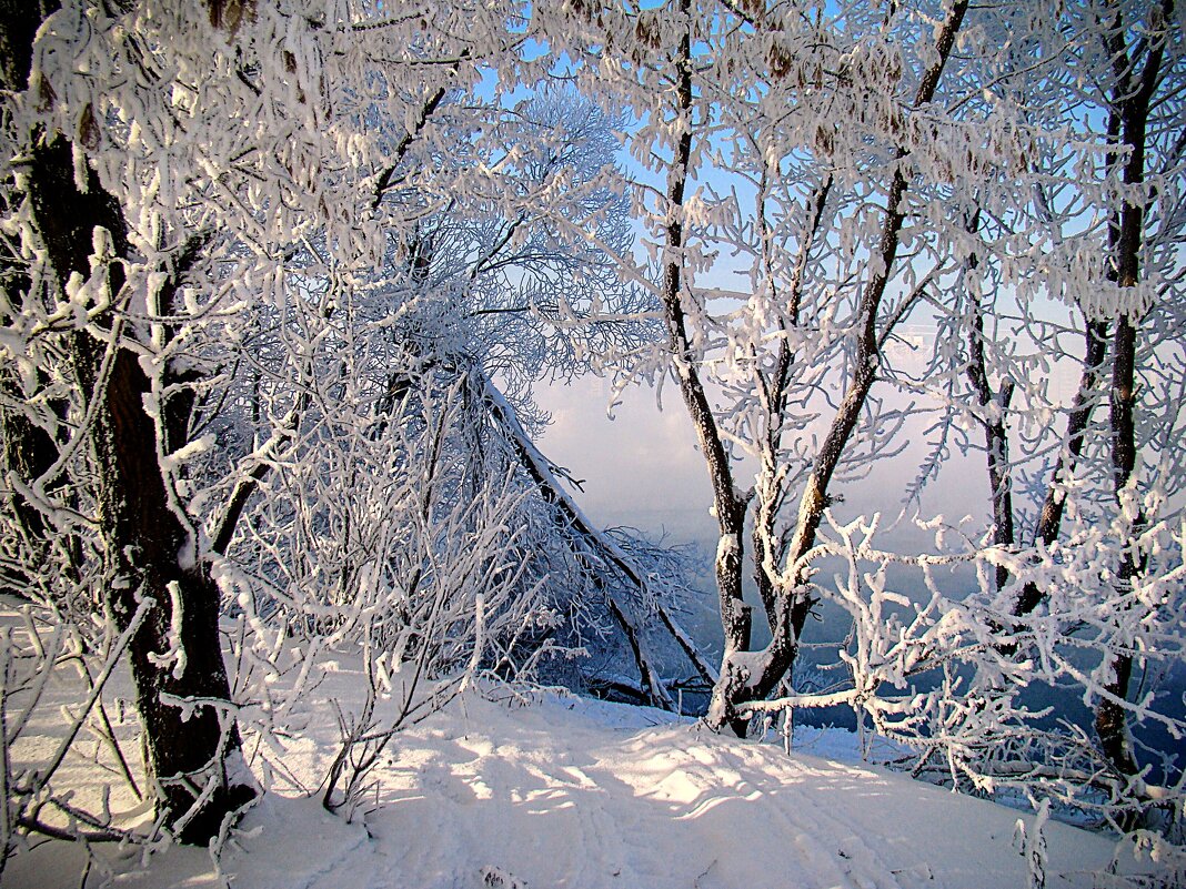 Зима - краса ! Теперь большая редкость в Московии,,,) - Анатолий Колосов