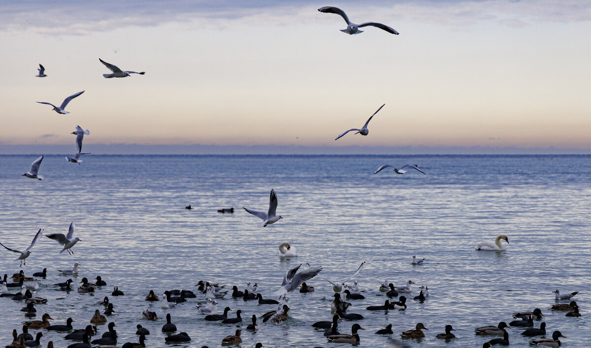 Непогода - Светлана Тихонина