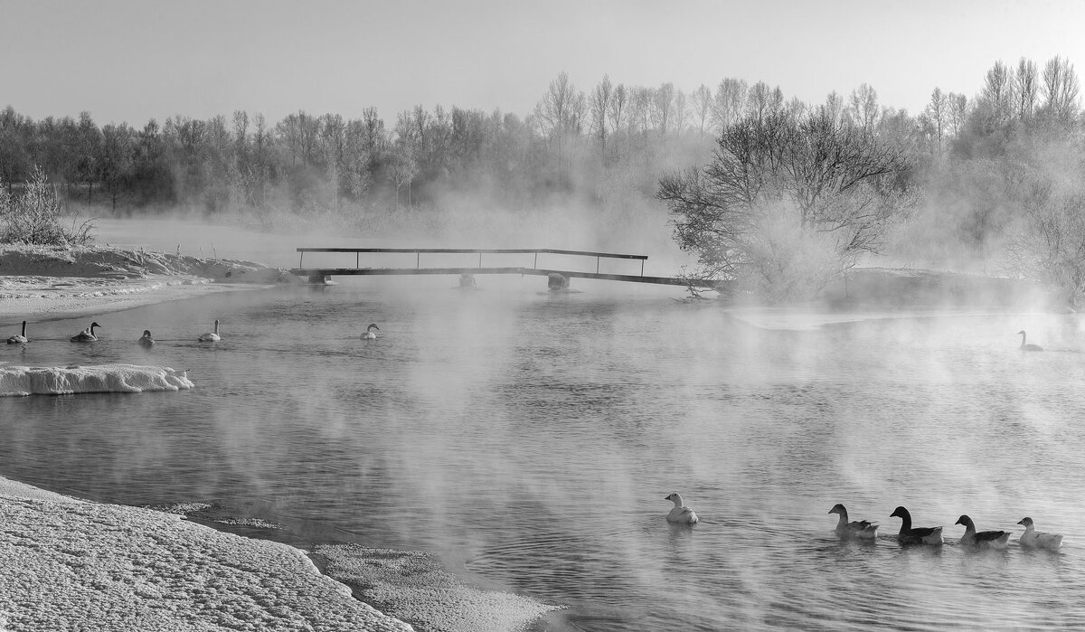 Морозное утро.... - владимир 