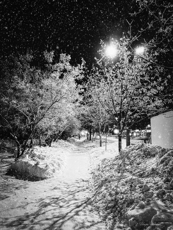 «Тишина света» - Игорь Чичиль