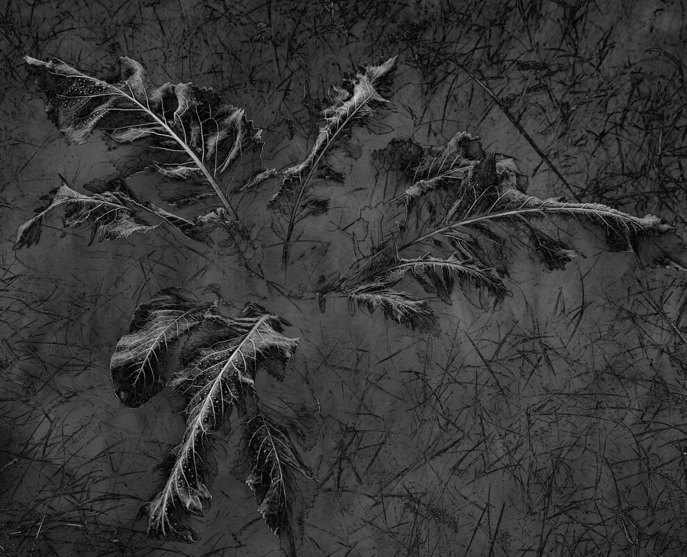 Холод - Vanya Zhukov