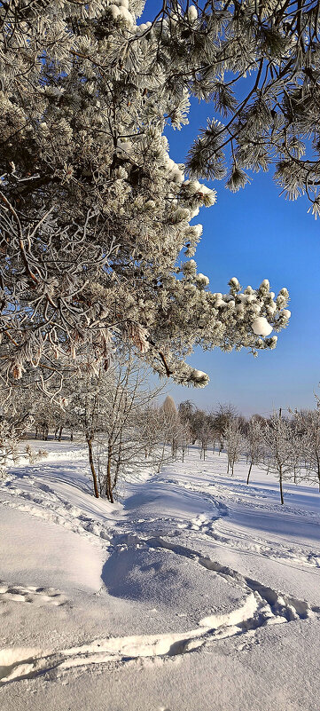 Снежная сказка - Игорь Сычёв