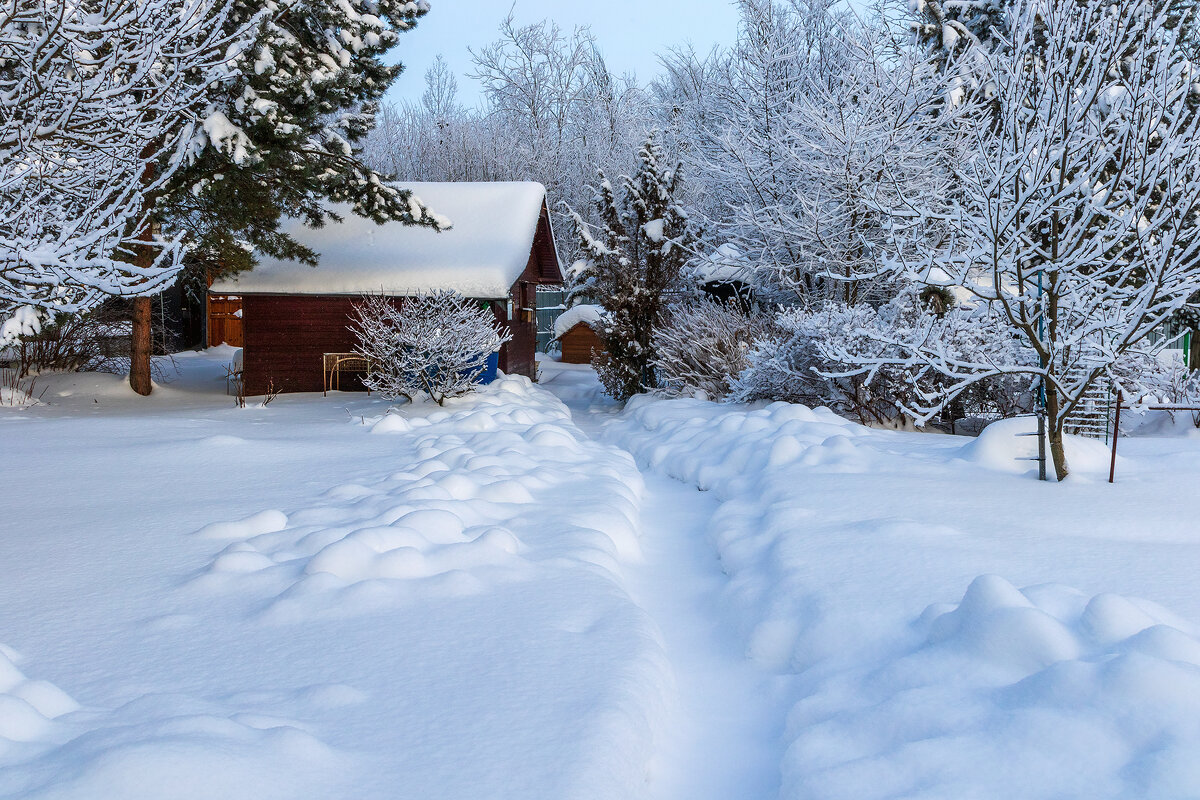 С нежность. - Анатолий. Chesnavik. С нежность. - Анатолий. Chesnavik.