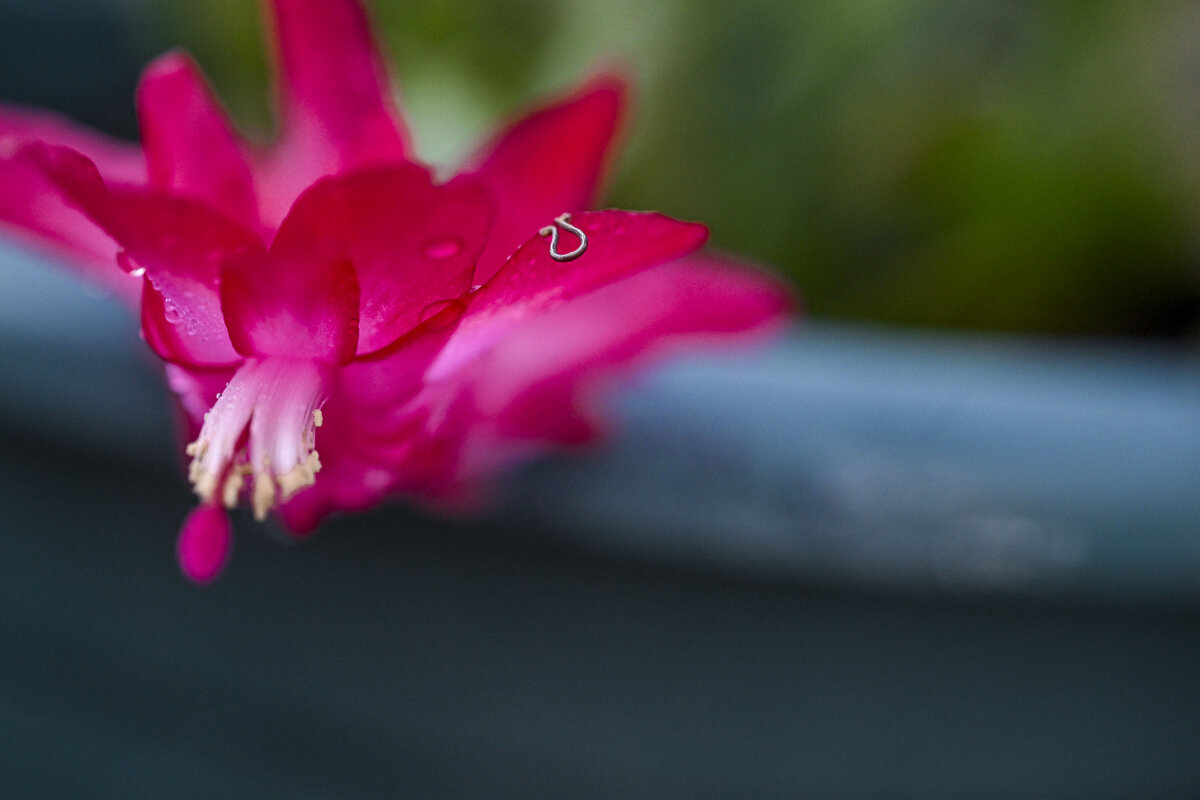 Круиз по балкончику - Осень Круиз по балкончику - Осень