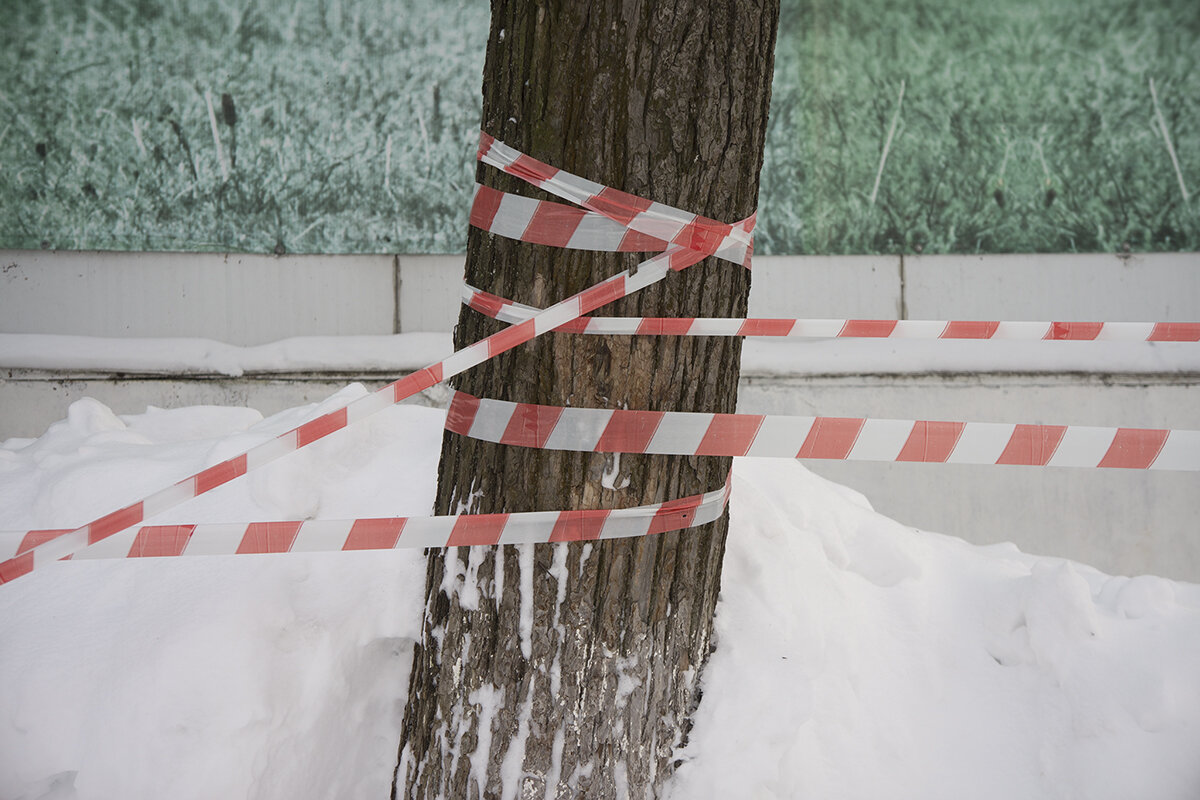 Без названия - Владимир Носов