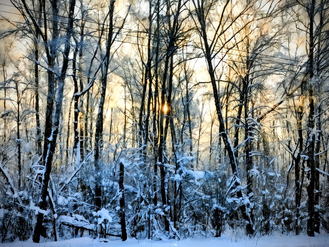 Январский день - Михаил Столяров