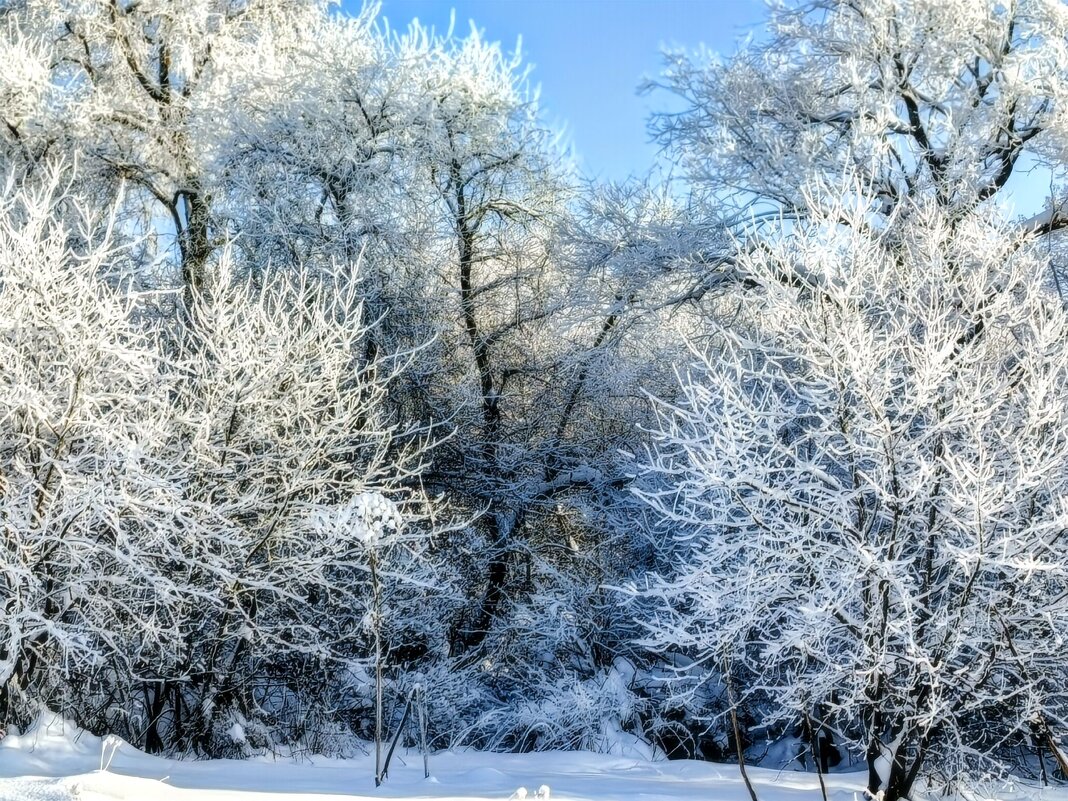 Январские краски - Михаил Столяров