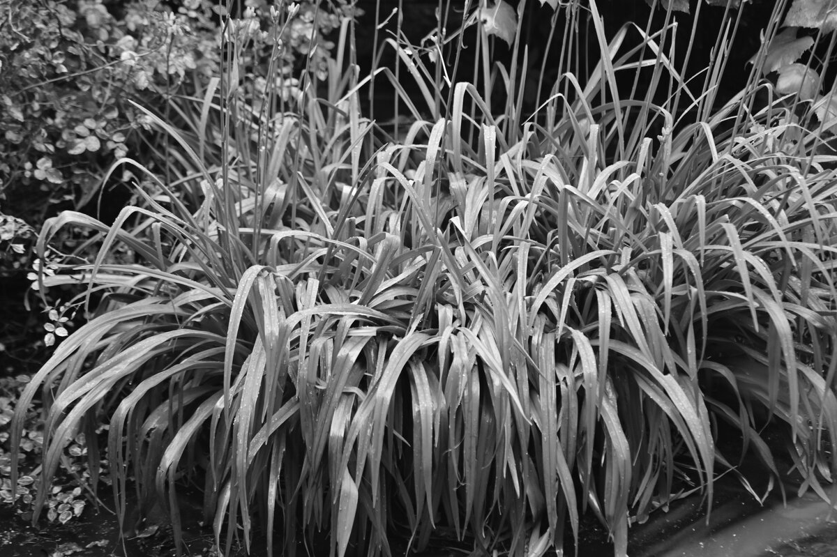 / - Константин Сафронов