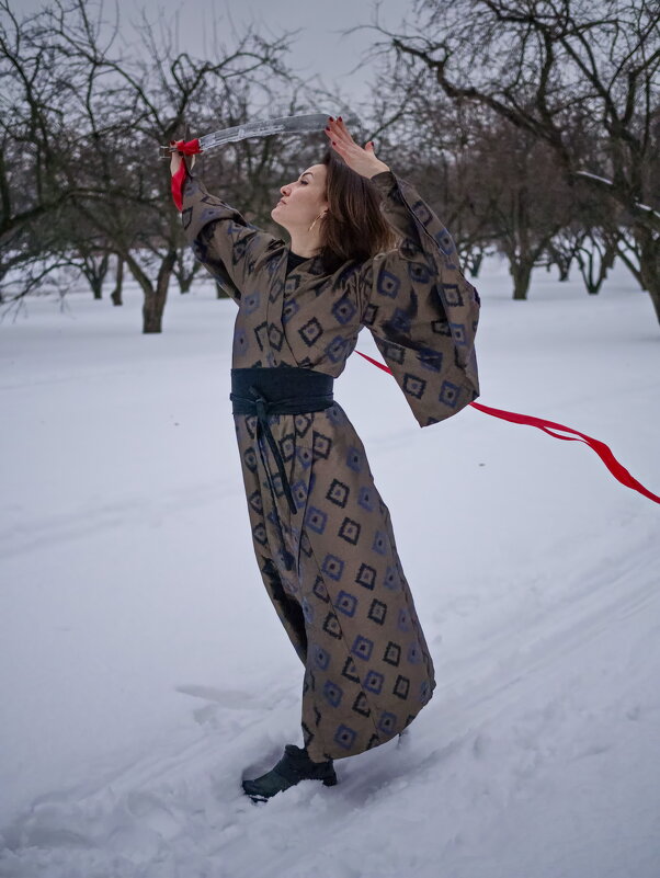 Зимний день. Северо-восточный ветер... - Наталья Rosenwasser Зимний день. Северо-восточный ветер... - Наталья Rosenwasser