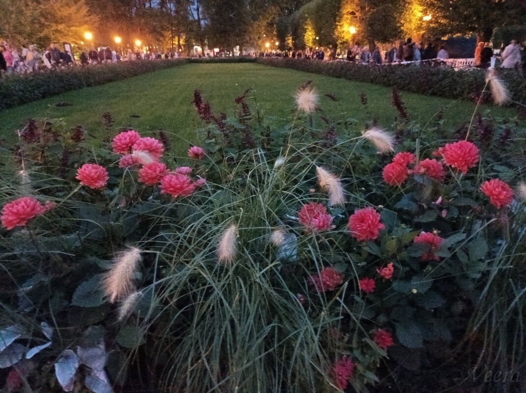 Парк Кадриорг - Veera V