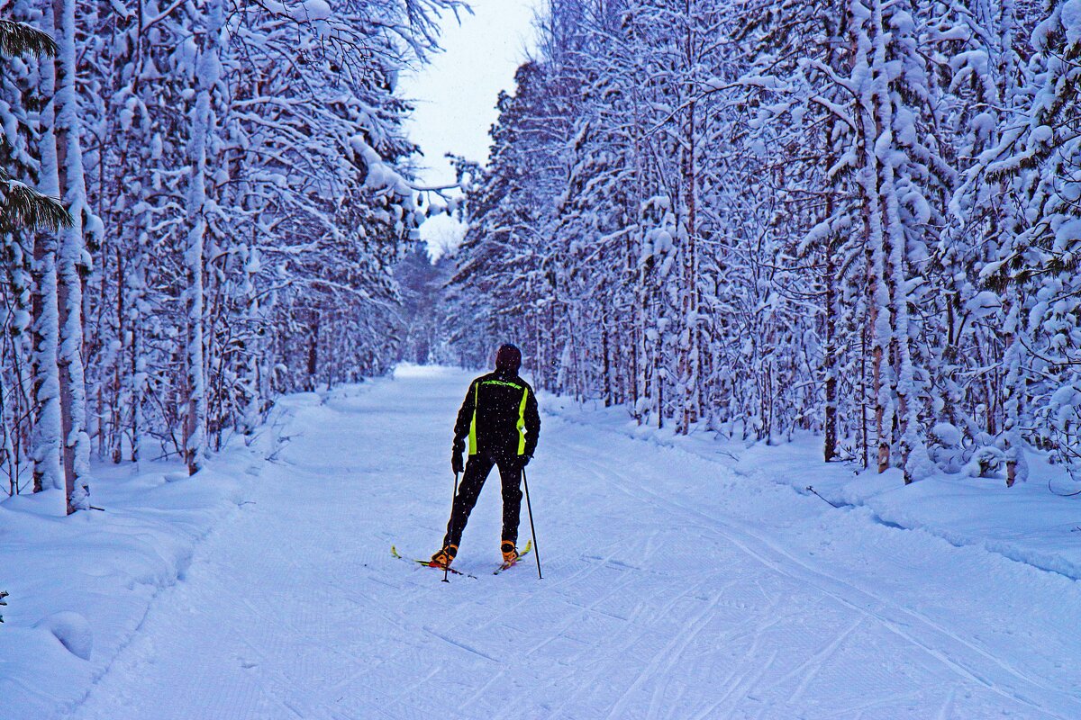 Январь...В зимнюю  сказку! - Владимир 