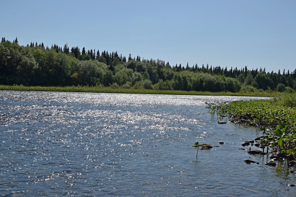 Подчерем искрится. - ВикТор Быстров